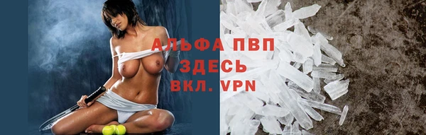 крисы Алексин