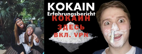 крисы Алексин