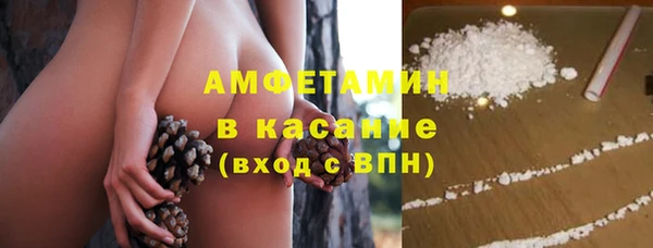 крисы Алексин