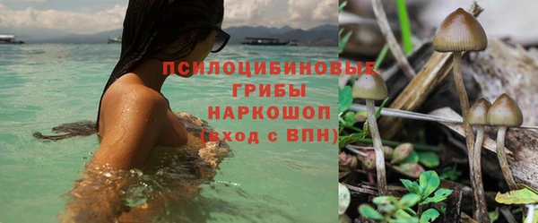 MESCALINE Алзамай
