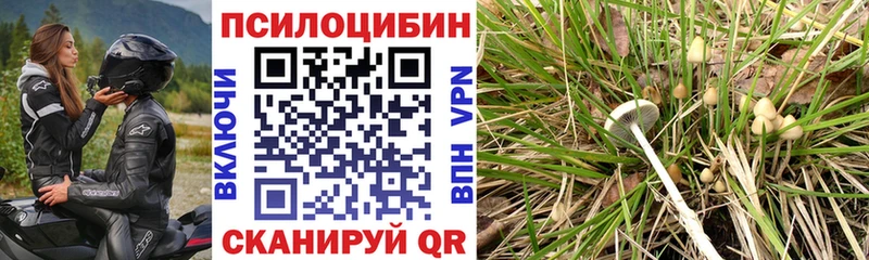 Галлюциногенные грибы GOLDEN TEACHER OMG как зайти Лахденпохья сколько стоит